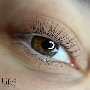 Life Beauty Salfeld - Lashlifting
