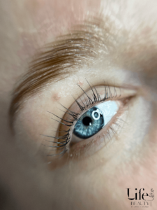 Life Beauty Salfeld - Lashlifting